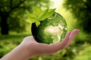 A woman's hand holding a green globe with wet green leaves for an ingredient article about sustainability and eco-friendly materials in design, fashion and beauty