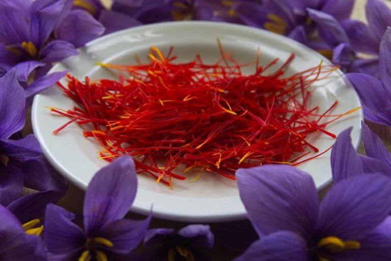 A close up of saffron in a white bowl surrounded by purple crocus flowers for an ingredient article about fine fragrances