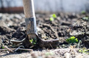 A close up of a shovel in dirt with a few green sprouts for an ingredient article about how dirt as a concept has inspired new products