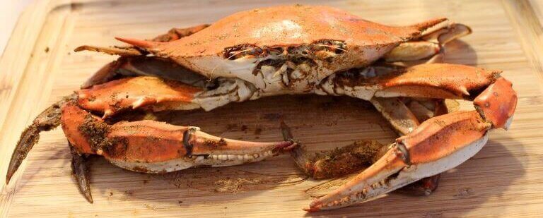 Close up Maryland Crab on wooden cutting board