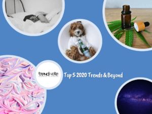 Trendincite's Top 5 Trends & Beyond Free Report Title