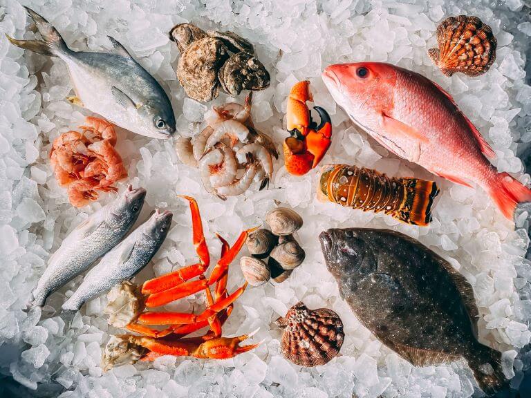 An array of seafood and fish on a bed of ice for plant-based fish and seafood alternative article